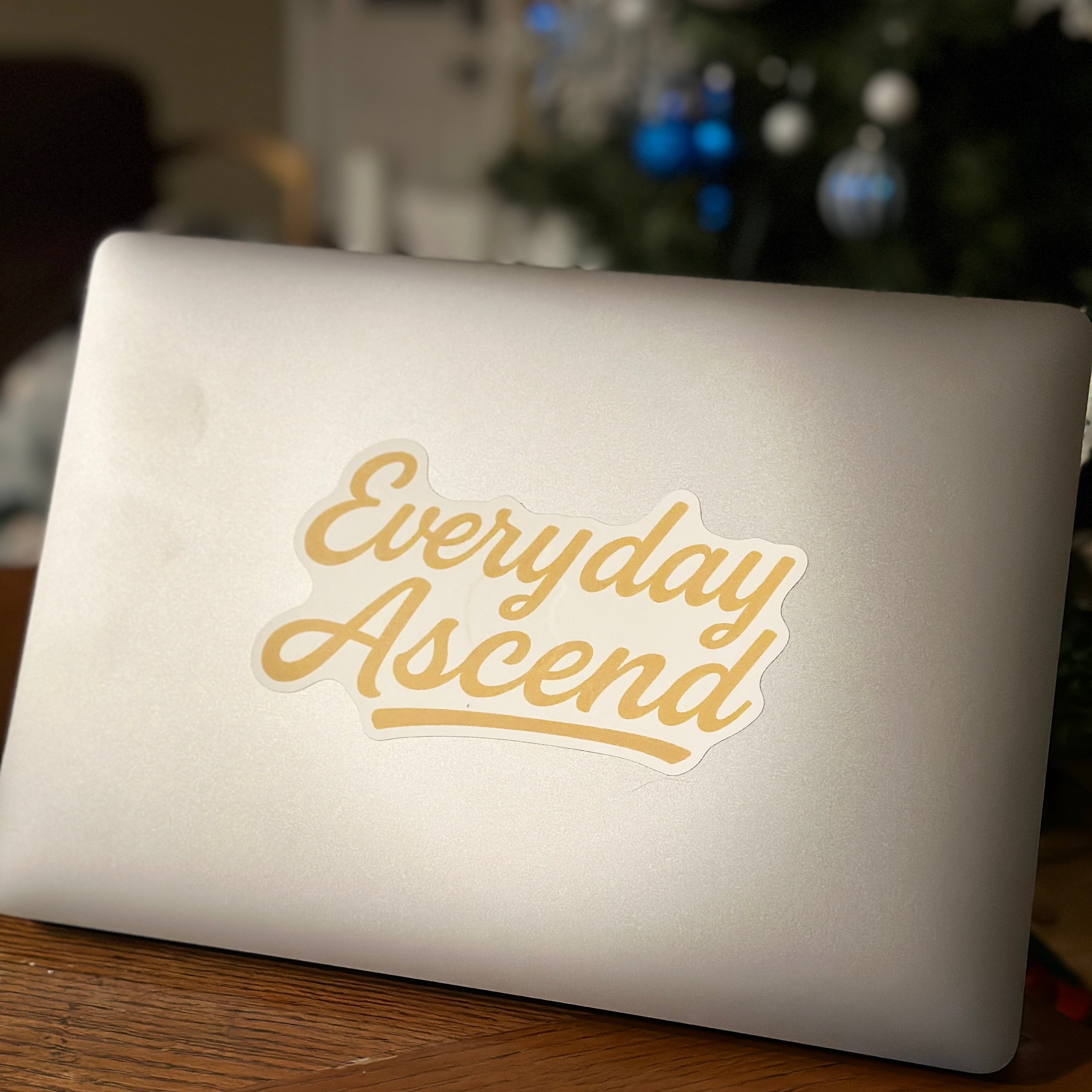 Accessories Collection