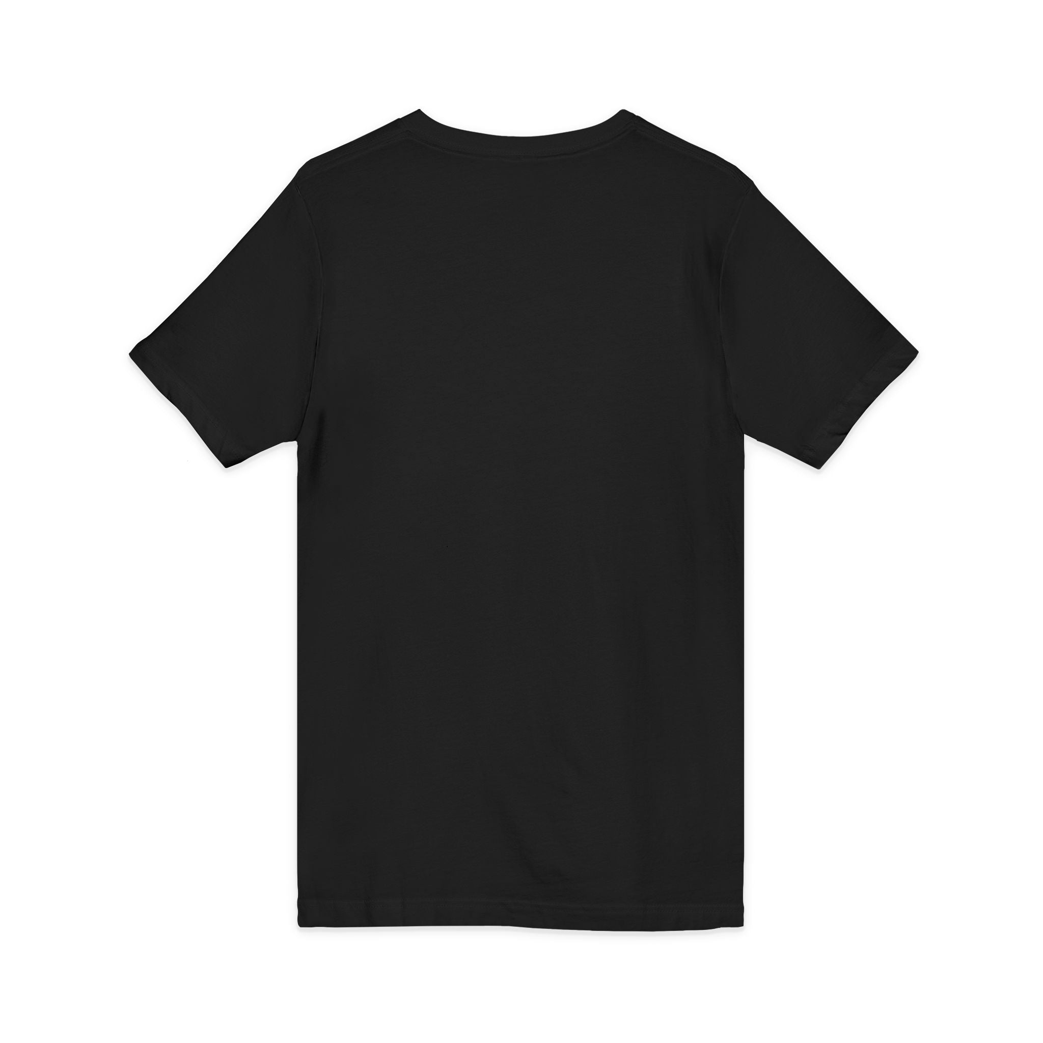 Everyday Ascend College Font V-Neck Tee